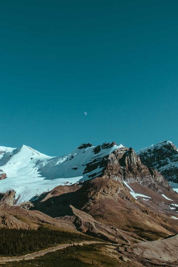 Admin Seed - 5'8" - Thumbnail 2