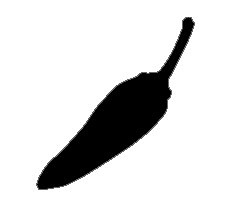 Chilli Surfboards logo