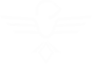 Sparrow Surfboards logo