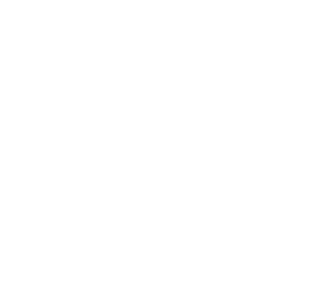 NSP Surfboards logo