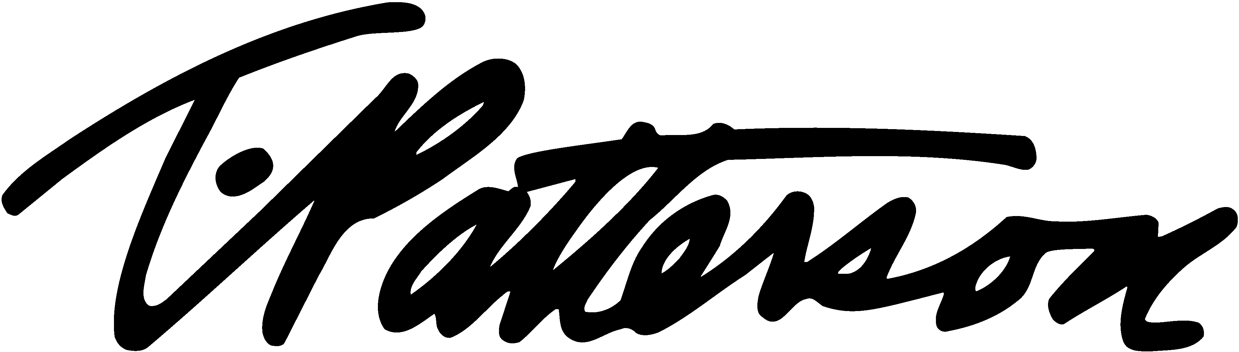 Timmy Patterson Surfboards logo