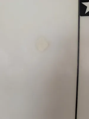 5'9" Stock Pyzel Phantom - Thumbnail 6