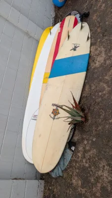 8'6 John Taylor Midlength - Thumbnail 9