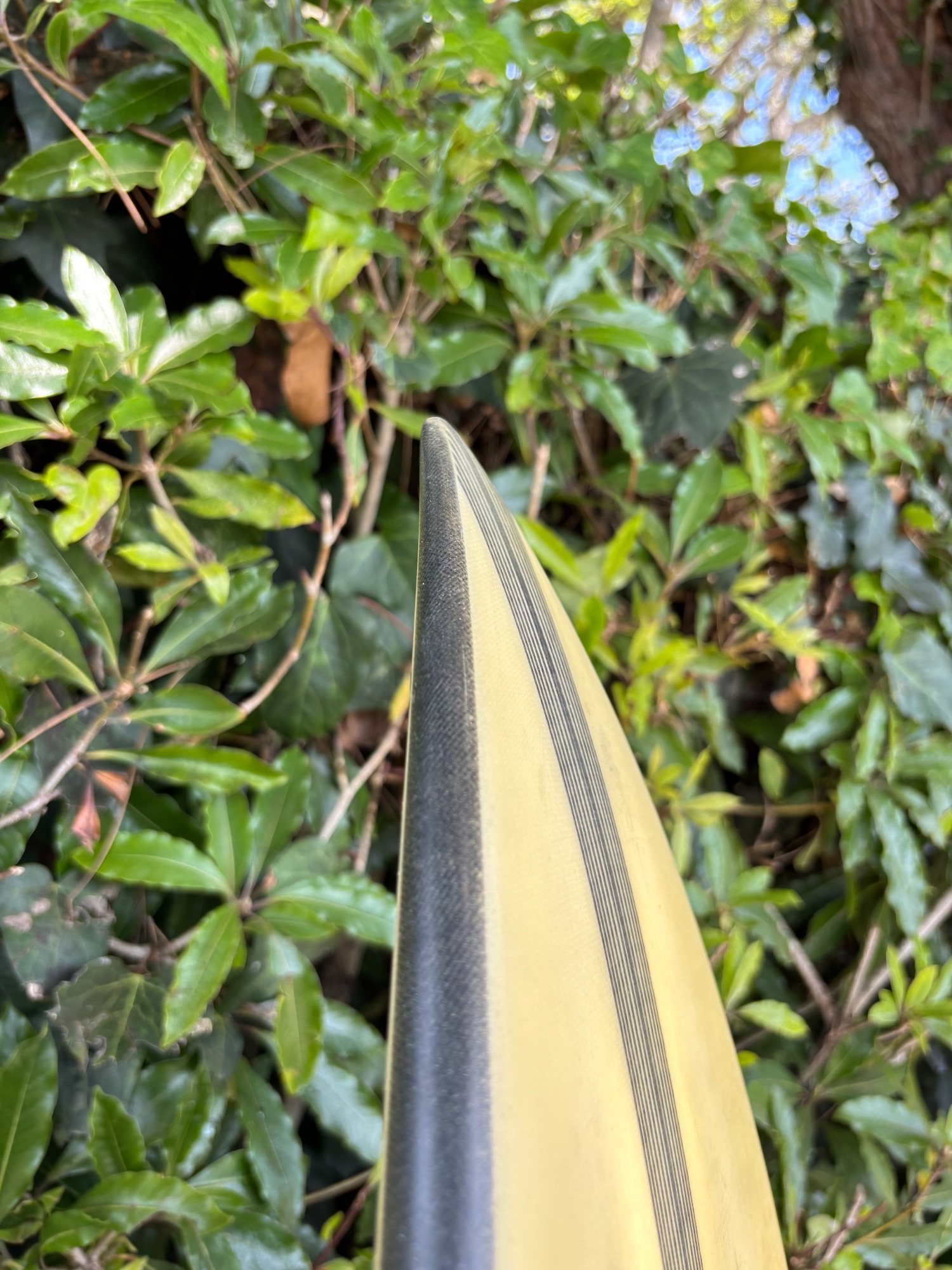 Proctor Surfboard - 6'1 - Image 4